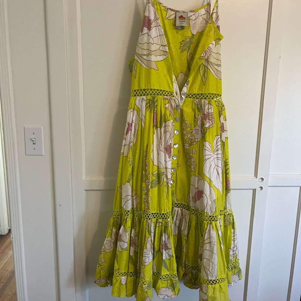 Farm Rio maxi dress- lime green with floral detail. Never been worn!